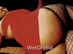 WetOrchid