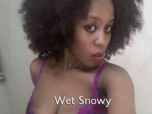 Wet_Snowy