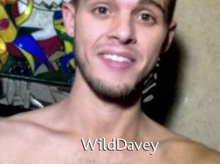 WildDavey