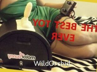 WildOrchid_