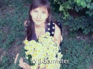 Wildcumster