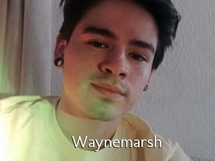 Waynemarsh