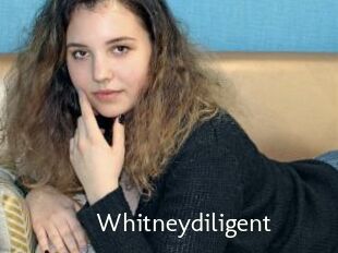 Whitneydiligent