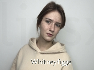 Whitneyfigge