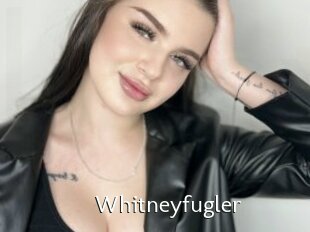 Whitneyfugler