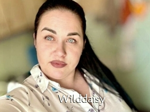 Wilddaisy