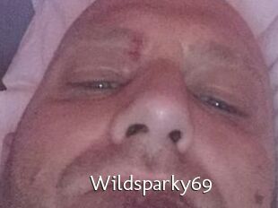 Wildsparky69