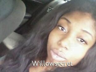 Willow_secret