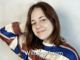 Wilonegriscom