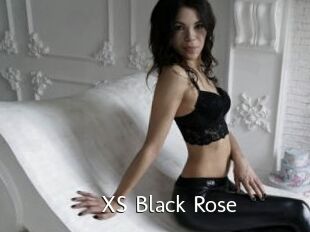 XS_Black_Rose