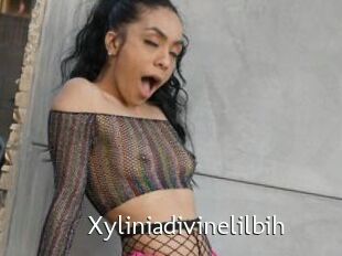 Xyliniadivinelilbih