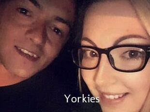 Yorkies