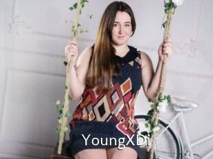 YoungXDi