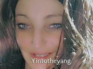 Yintotheyang