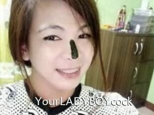 YourLADYBOYcock
