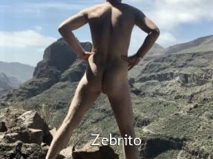 Zebrito