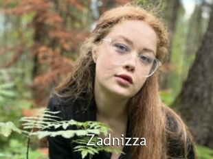 Zadnizza