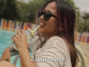 Zattinmartin