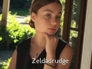Zeldadrudge