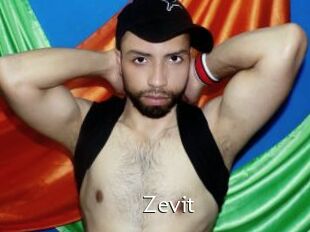 Zevit