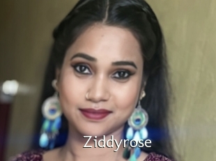 Ziddyrose