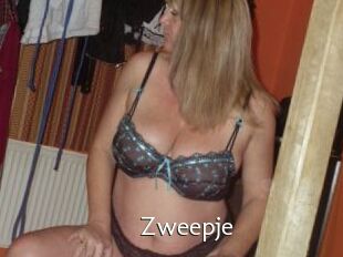 Zweepje